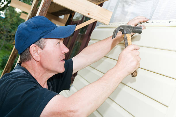Best Custom Siding Design  in Fall Creek, WI