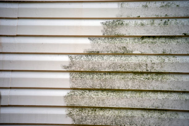 Best Insulated Siding Installation  in Fall Creek, WI