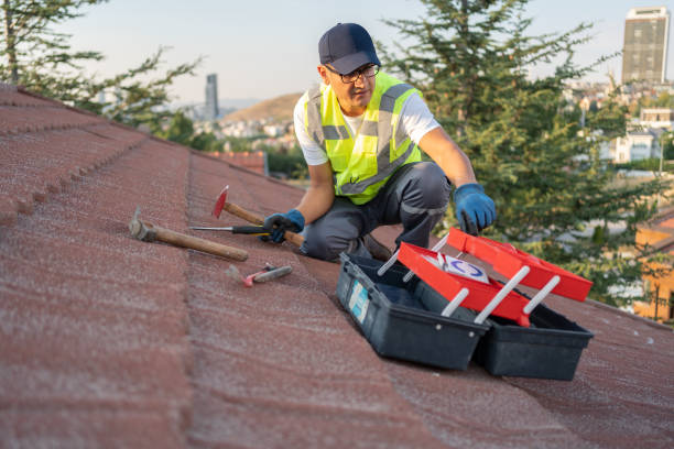 Best Steel Siding Installation  in Fall Creek, WI